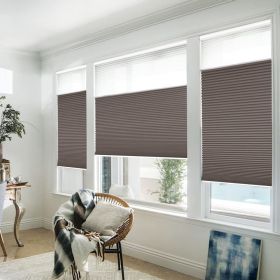 WELLSOURCE Manual Cordless Day and Night Cellular Shades Non Blackout Light Filtering Honeycomb Fabric for Home, Office, Hotel, Club (Color: Brown, size: CUSTOM SIZE)