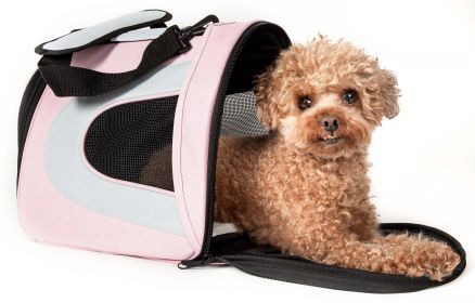 Airline Approved Folding Zippered Sporty Mesh Pet Carrier (size: medium)